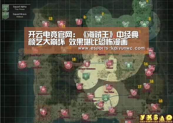  开云电竞官网