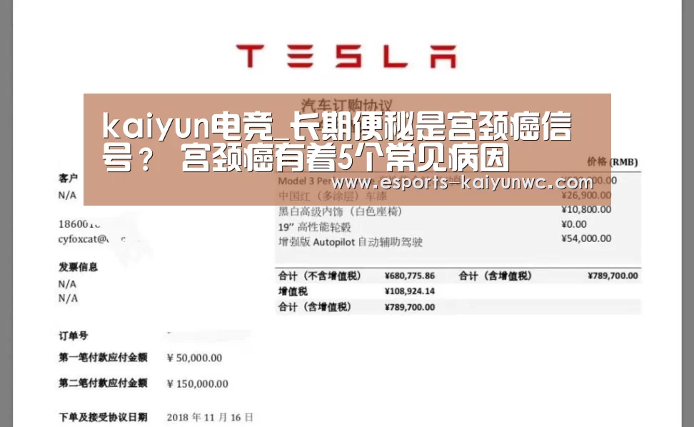  开云电竞官网